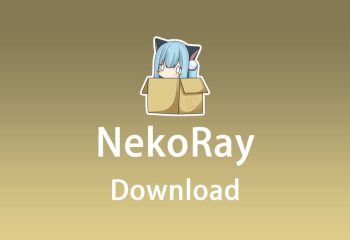 راهنمای نصب و راه اندازی nekoray در ویندوز